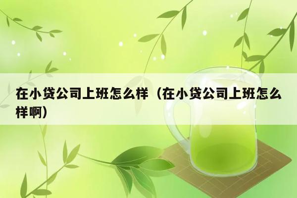 在小贷公司上班怎么样（在小贷公司上班怎么样啊） 