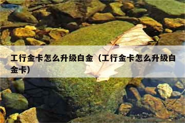 工行金卡怎么升级白金（工行金卡怎么升级白金卡） 