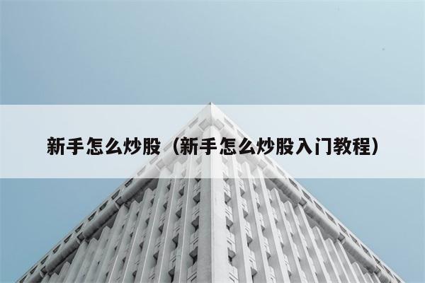 新手怎么炒股（新手怎么炒股入门教程） 