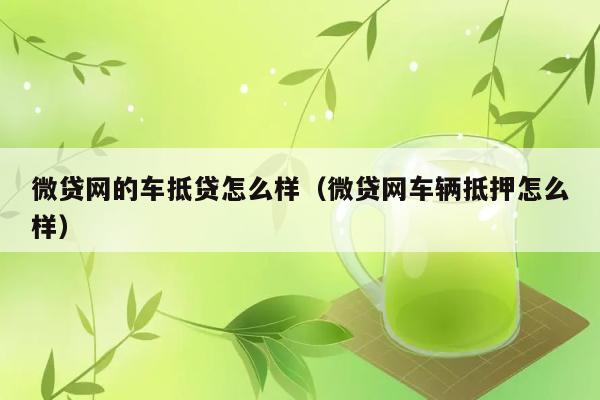 微贷网的车抵贷怎么样（微贷网车辆抵押怎么样） 