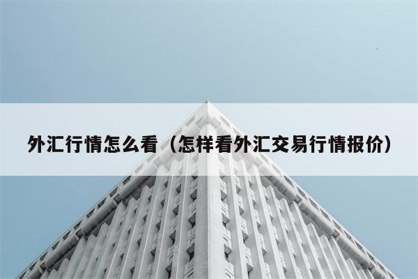 外汇行情怎么看（怎样看外汇交易行情报价） 