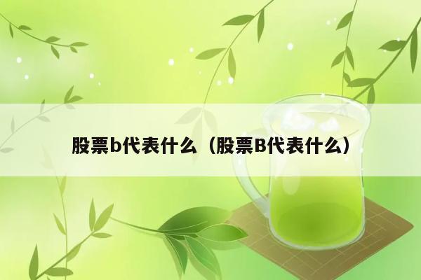 股票b代表什么（股票B代表什么） 