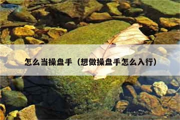 怎么当操盘手（想做操盘手怎么入行） 