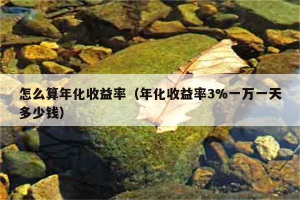 怎么算年化收益率（年化收益率3%一万一天多少钱） 