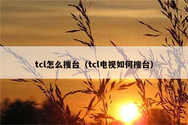 tcl怎么搜台（tcl电视如何搜台） 