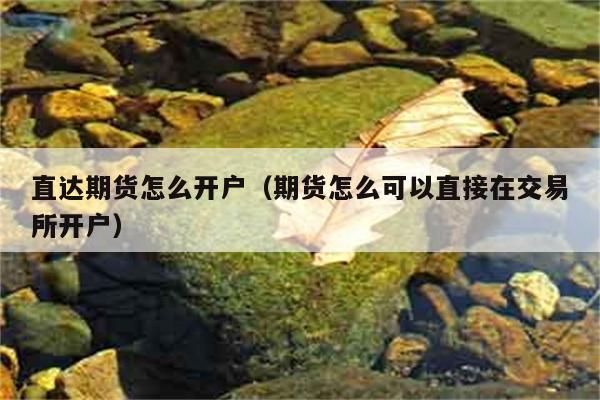 直达期货怎么开户（期货怎么可以直接在交易所开户） 