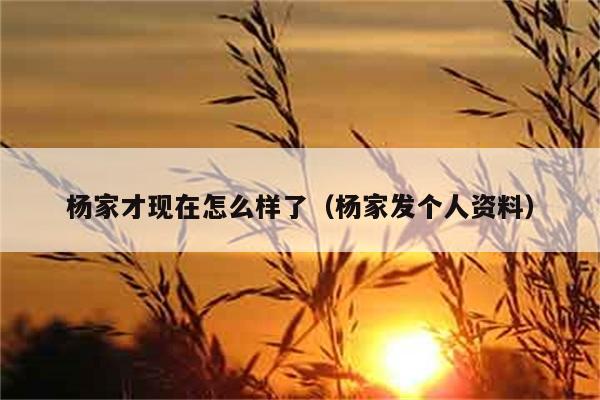 杨家才现在怎么样了（杨家发个人资料） 