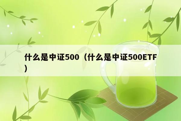 什么是中证500（什么是中证500ETF） 