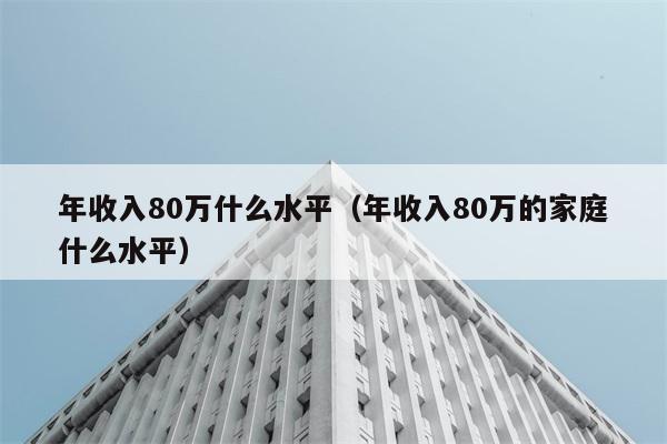 年收入80万什么水平（年收入80万的家庭什么水平） 