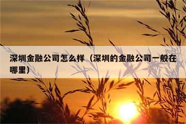 深圳金融公司怎么样（深圳的金融公司一般在哪里） 