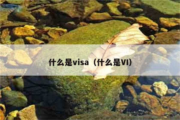 什么是visa（什么是VI） 