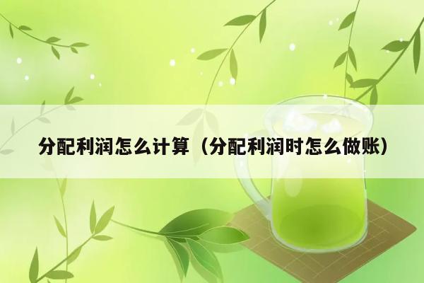 分配利润怎么计算（分配利润时怎么做账） 