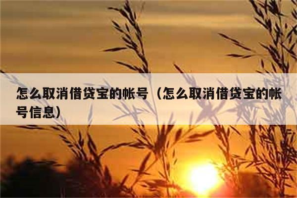 怎么取消借贷宝的帐号（怎么取消借贷宝的帐号信息） 