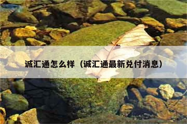 诚汇通怎么样（诚汇通最新兑付消息） 