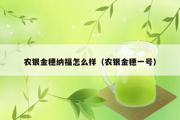 农银金穗纳福怎么样（农银金穗一号） 