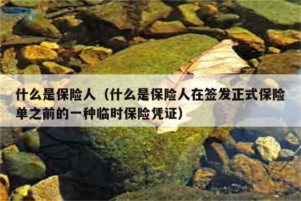 什么是保险人（什么是保险人在签发正式保险单之前的一种临时保险凭证） 