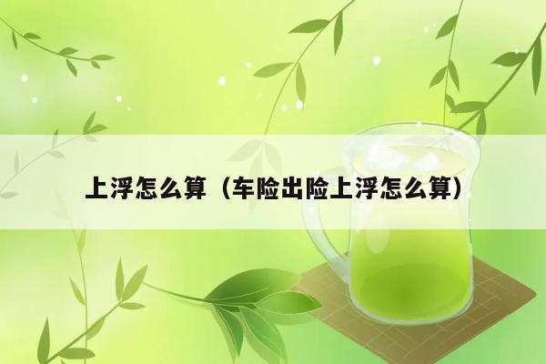 上浮怎么算（车险出险上浮怎么算） 