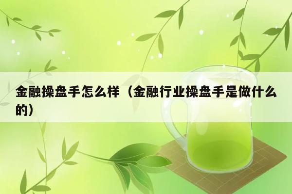 金融操盘手怎么样（金融行业操盘手是做什么的） 