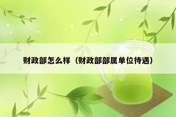 财政部怎么样（财政部部属单位待遇） 