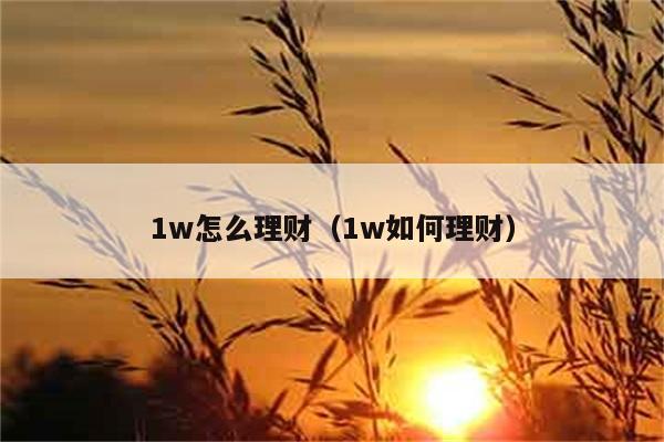 1w怎么理财（1w如何理财） 