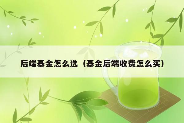 后端基金怎么选（基金后端收费怎么买） 