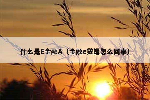 什么是E金融A（金融e贷是怎么回事） 