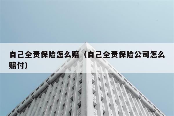 自己全责保险怎么赔（自己全责保险公司怎么赔付） 