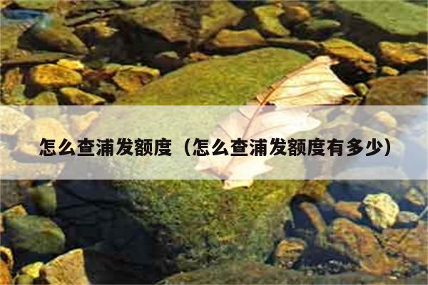 怎么查浦发额度（怎么查浦发额度有多少） 