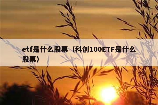 etf是什么股票（科创100ETF是什么股票） 