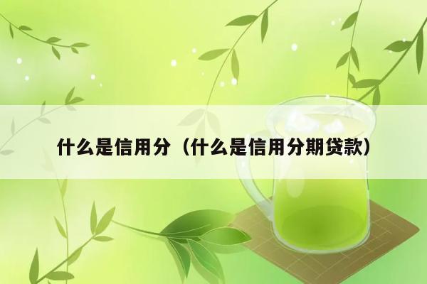 什么是信用分（什么是信用分期贷款） 