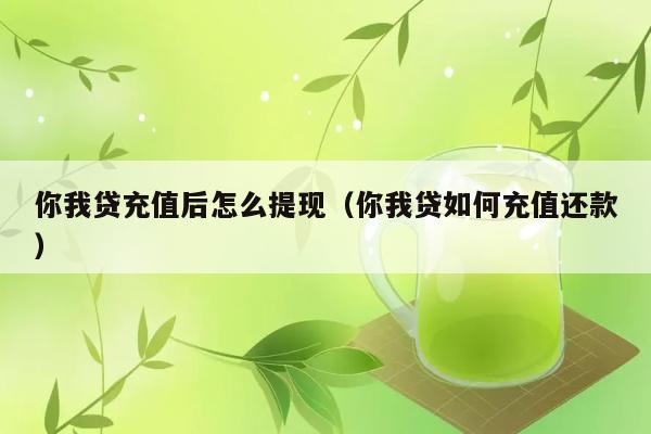 你我贷充值后怎么提现（你我贷如何充值还款） 