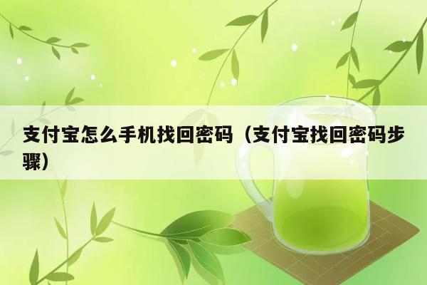 支付宝怎么手机找回密码（支付宝找回密码步骤） 