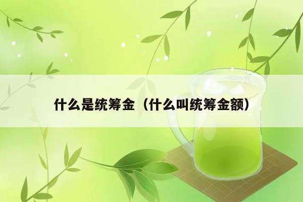 什么是统筹金（什么叫统筹金额） 