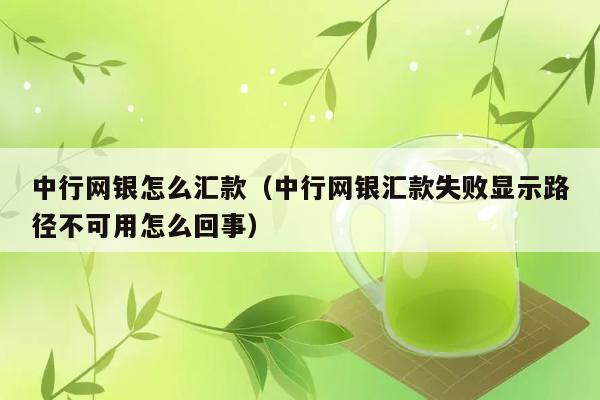 中行网银怎么汇款（中行网银汇款失败显示路径不可用怎么回事） 