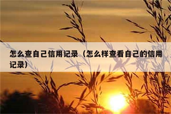 怎么查自己信用记录（怎么样查看自己的信用记录） 