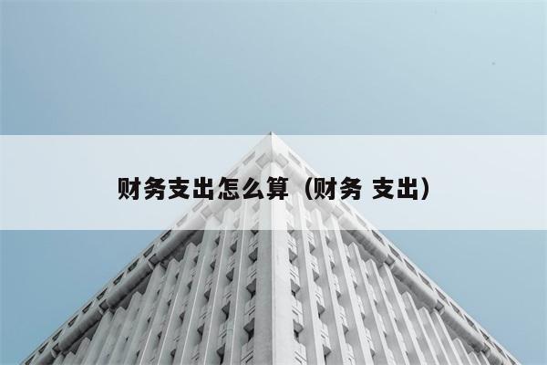 财务支出怎么算（财务 支出） 