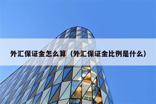 外汇保证金怎么算（外汇保证金比例是什么） 