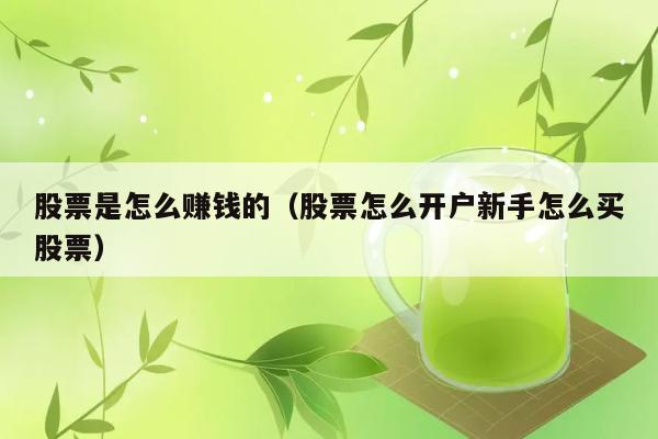 股票是怎么赚钱的（股票怎么开户新手怎么买股票） 