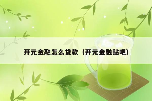 开元金融怎么贷款（开元金融贴吧） 