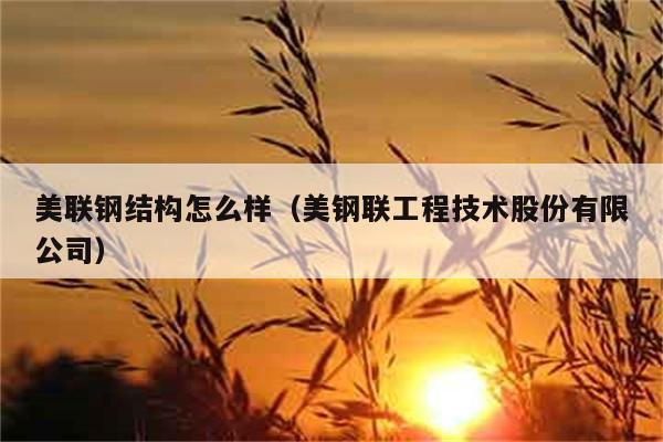 美联钢结构怎么样（美钢联工程技术股份有限公司） 