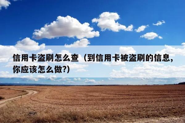 信用卡盗刷怎么查（到信用卡被盗刷的信息,你应该怎么做?） 