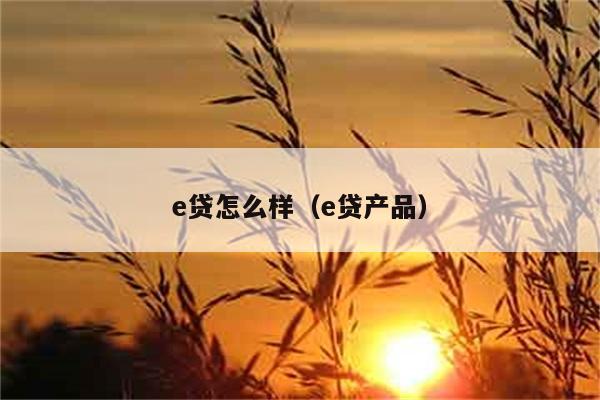 e贷怎么样（e贷产品） 