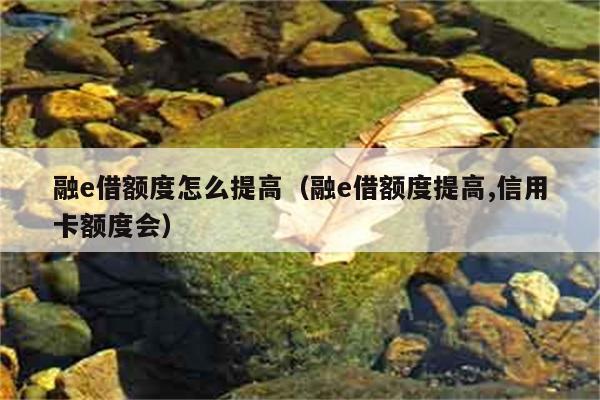 融e借额度怎么提高（融e借额度提高,信用卡额度会） 