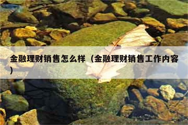 金融理财销售怎么样（金融理财销售工作内容） 