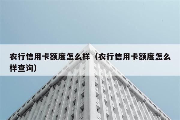 农行信用卡额度怎么样（农行信用卡额度怎么样查询） 