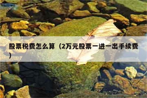 股票税费怎么算（2万元股票一进一出手续费） 