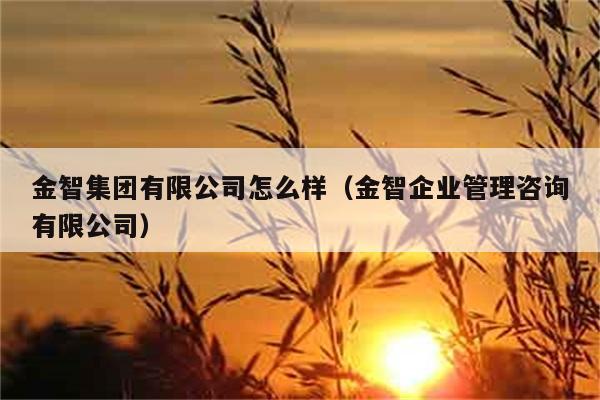 金智集团有限公司怎么样（金智企业管理咨询有限公司） 