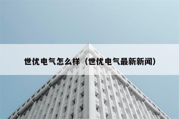 世优电气怎么样（世优电气最新新闻） 