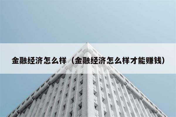 金融经济怎么样（金融经济怎么样才能赚钱） 