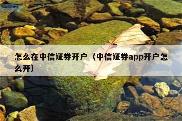 怎么在中信证券开户（中信证券app开户怎么开） 